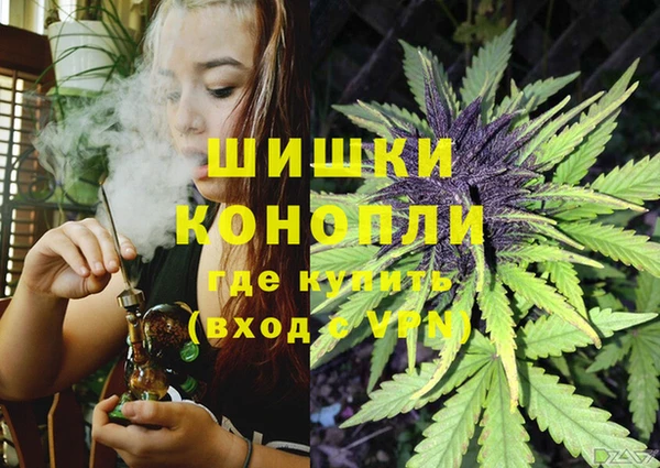 гашик Балахна