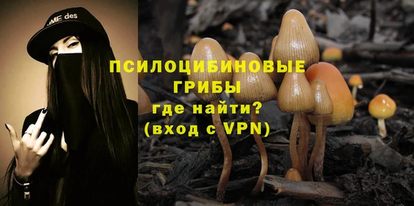 гашик Балахна