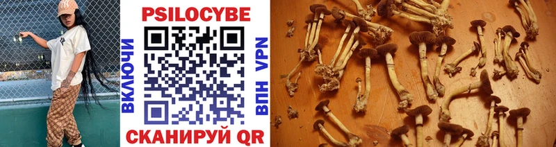 Псилоцибиновые грибы мухоморы цены Билибино